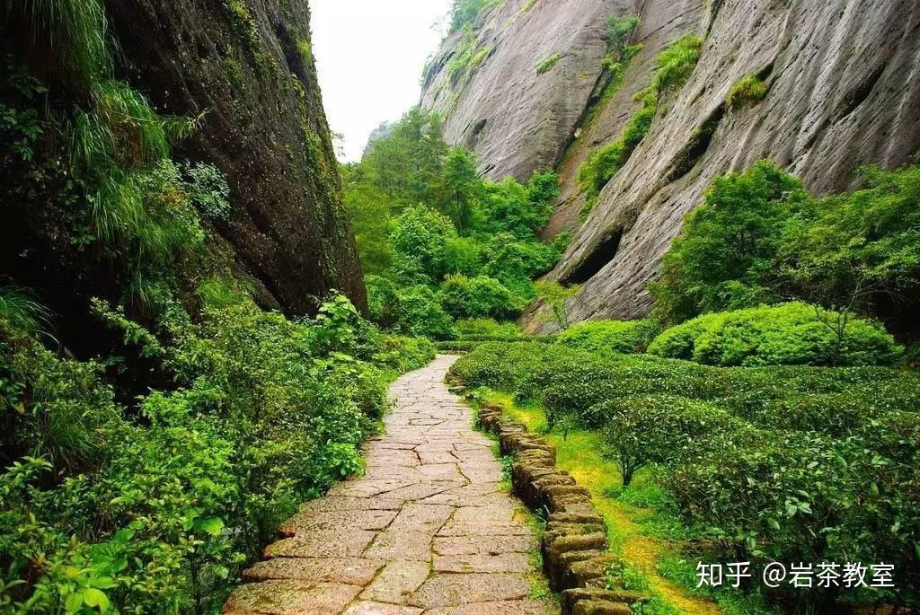 “三坑两涧”的流香涧在哪里 - 知乎