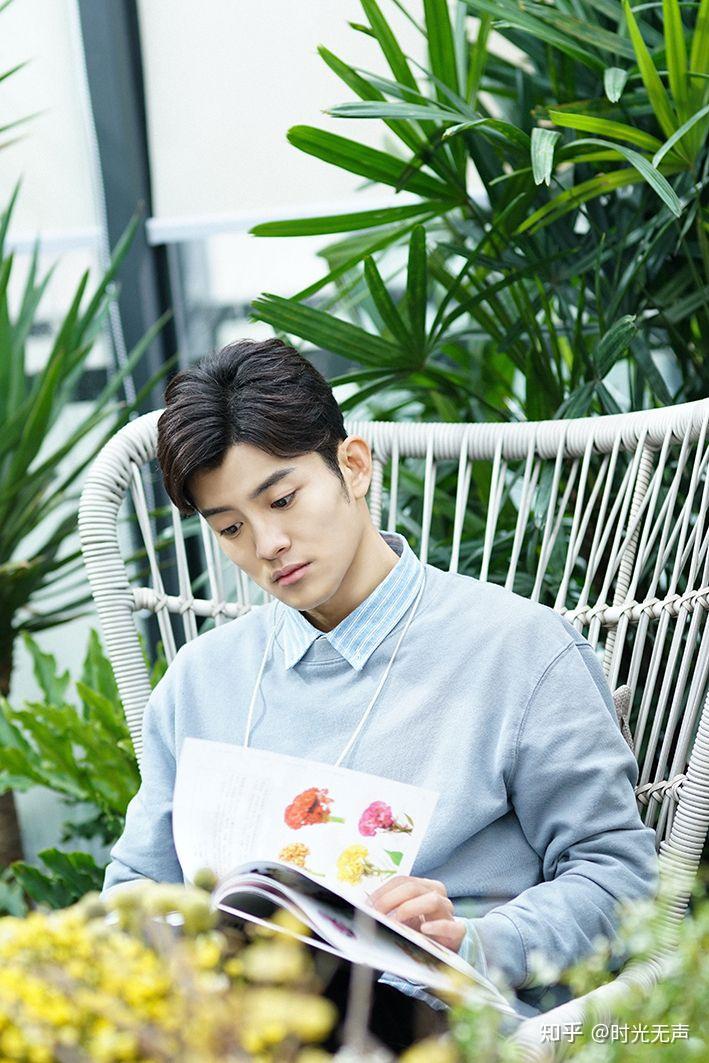 抖音辰飞先生长得像谁哪个男明星