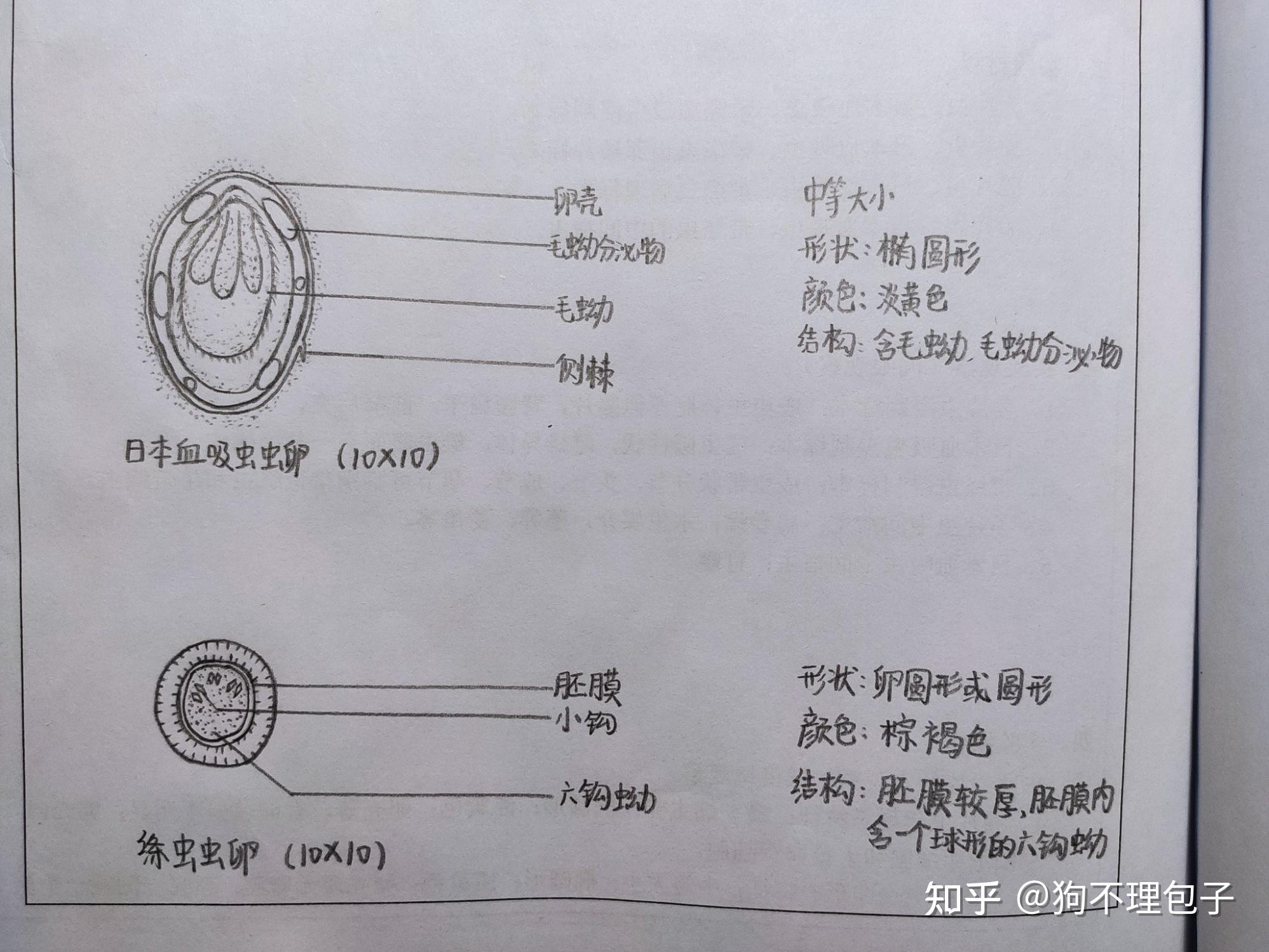 医学生怎么学好生理生化微生物寄生虫?
