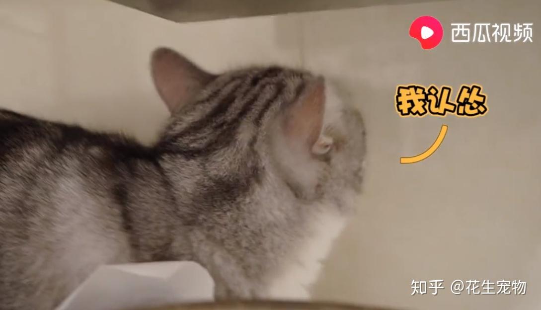咦!什么情况?看到细长的针头快把吓晕了哎呀!