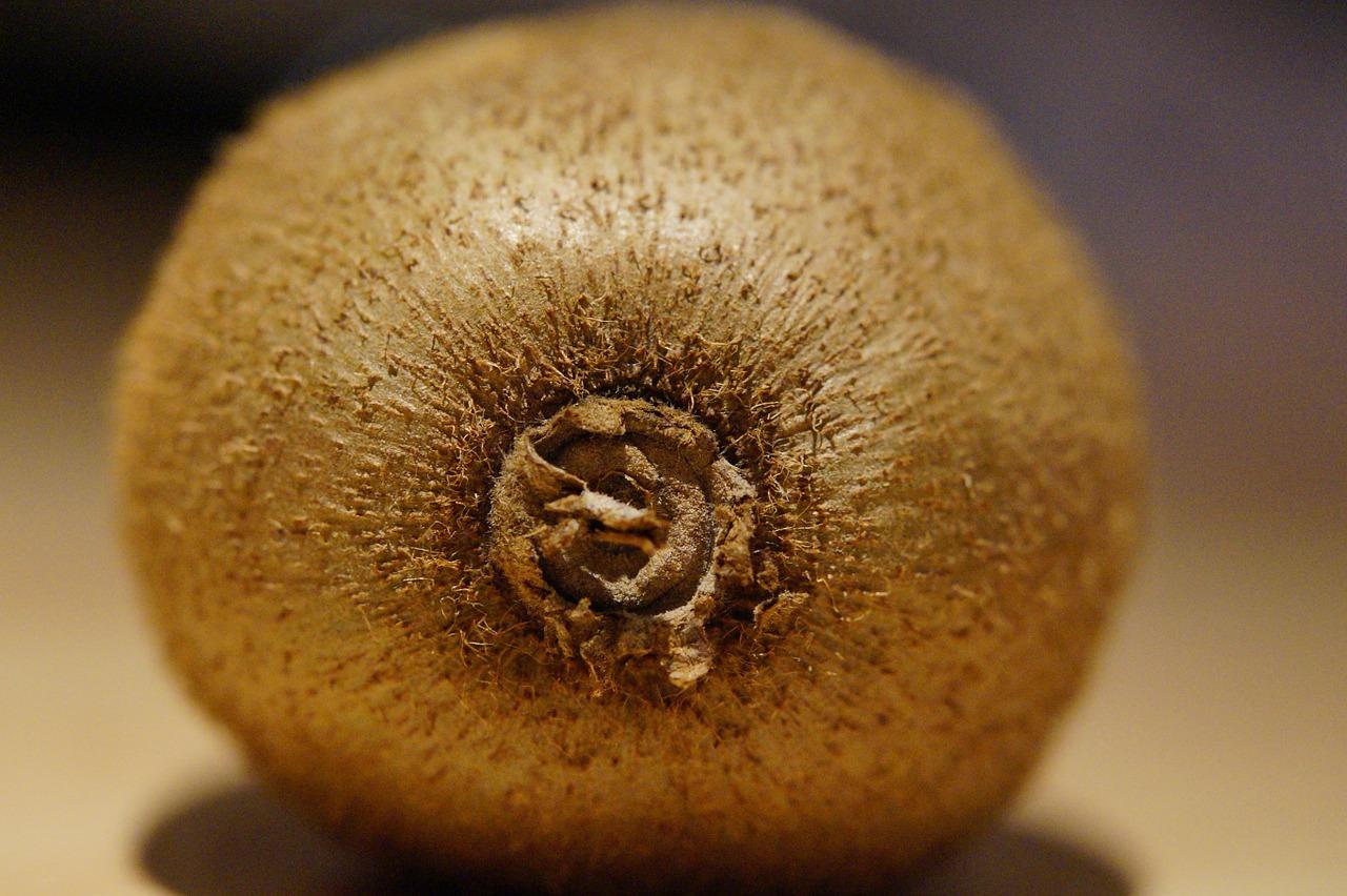 奇异果有什么营养成分