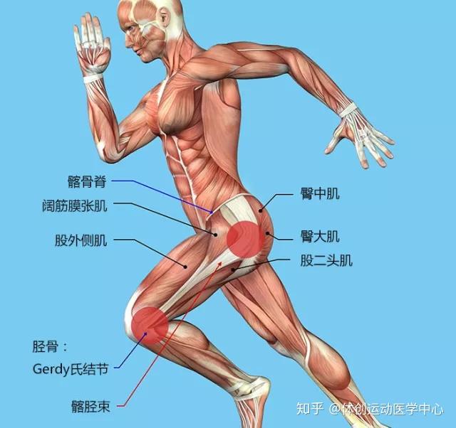 长距离跑步之后膝关节外侧疼痛究竟是为什么