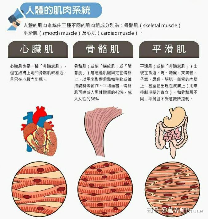 横纹肌溶解症疼痛部位图片