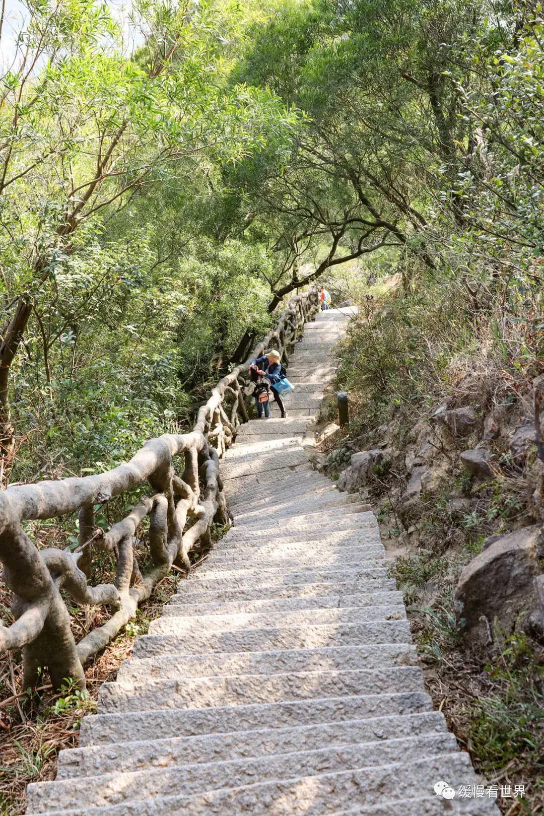 龙岗爬山图片