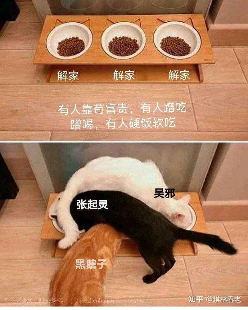 稻米们,有没有盗墓笔记的表情包? - 知乎