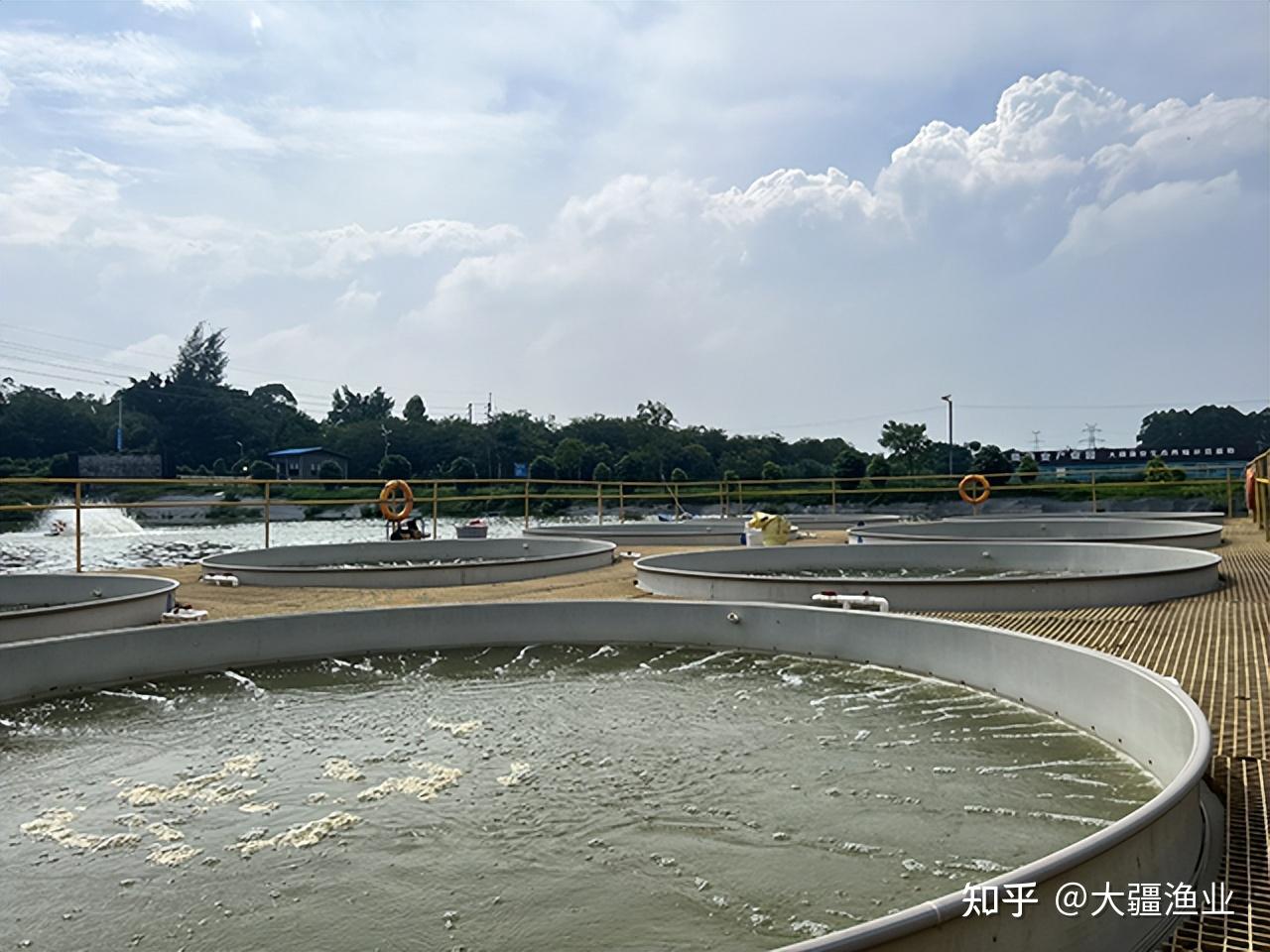无土养殖泥鳅养殖还可以如此高大上