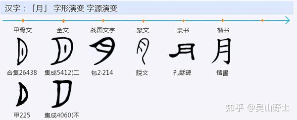 月的甲骨文 甲骨文汉字对照表大全 永的甲骨文