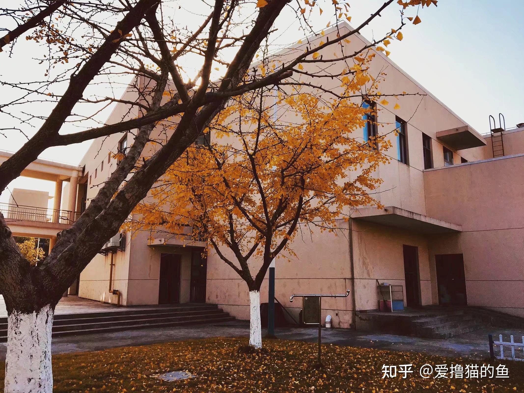 v2-b1a69805b935fb9fc735e5cc19b9a1e4_r.jpg