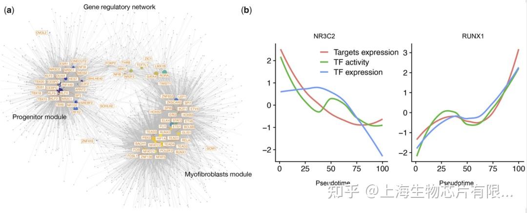 Scstat 解锁scATAC-seq数据与scRNA-seq数据的联合分析——scMega - 知乎
