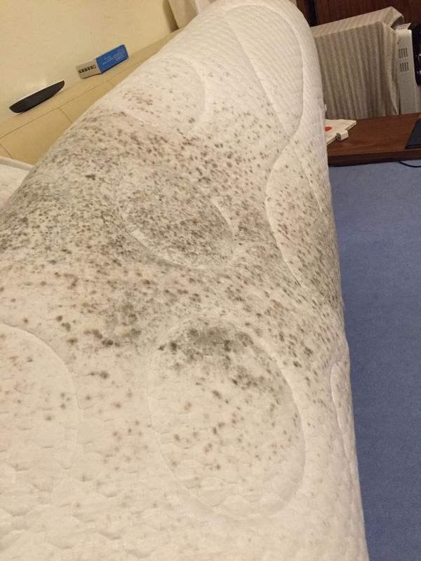 对尘螨过敏,有什么除螨虫的好方法