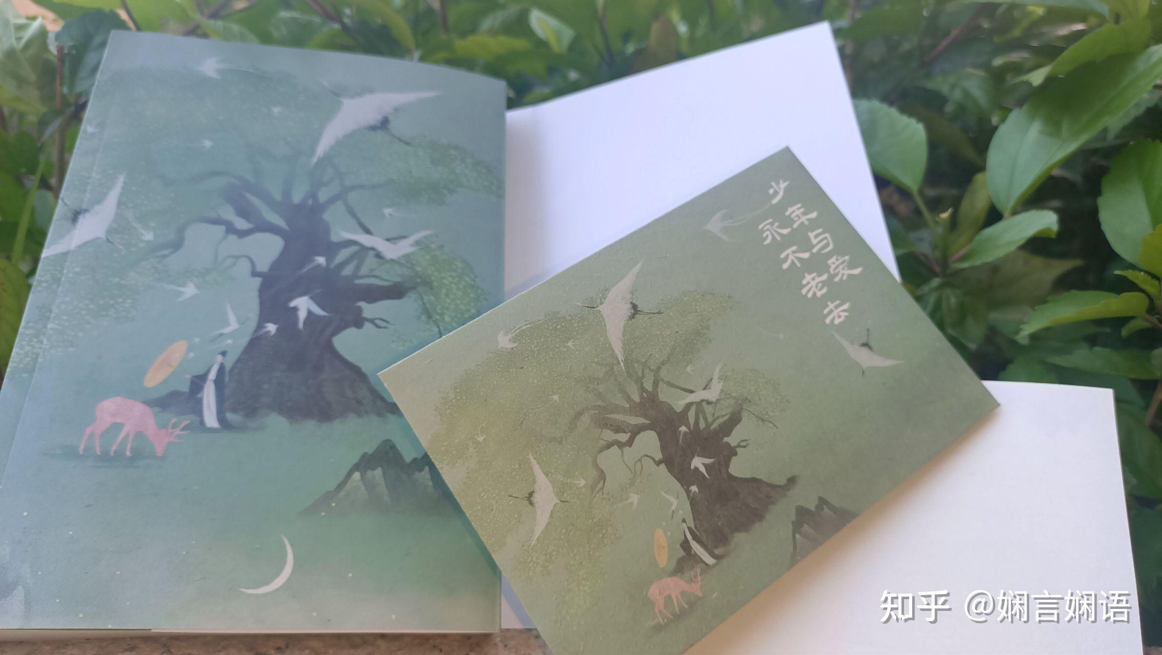 少年与爱永不老去诗经不再是诗而是一幅幅爱情的画卷