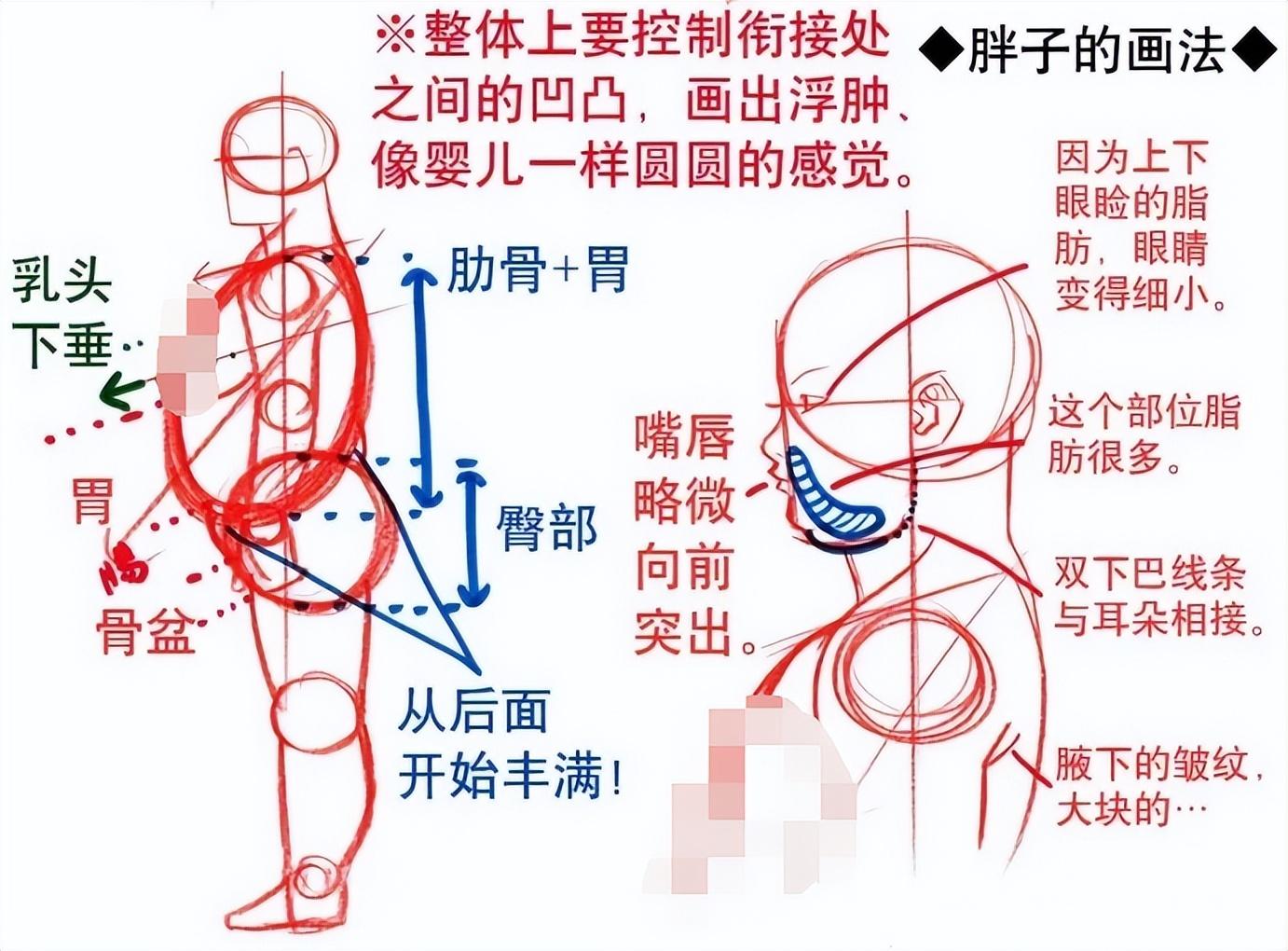 胖子和瘦子怎麼畫教你胖子和瘦子的畫法區別