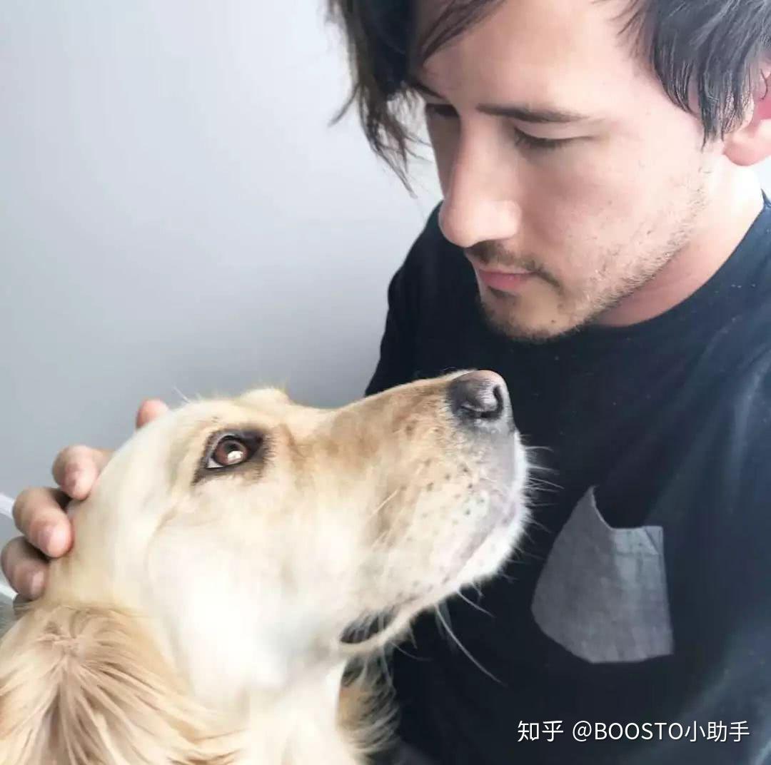 通吃中美粉丝的网红有哪些markiplier