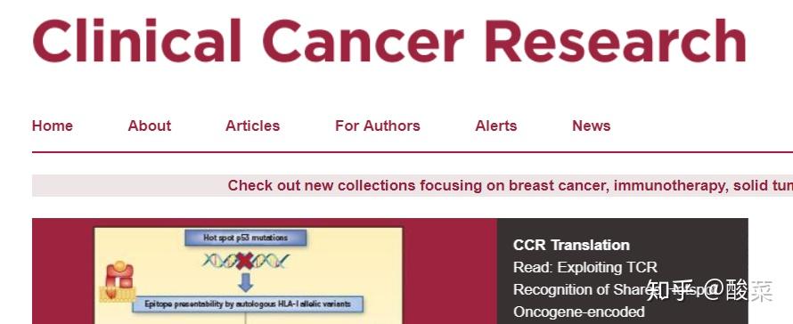 journal of cancer research and clinical oncology impact factor 2021