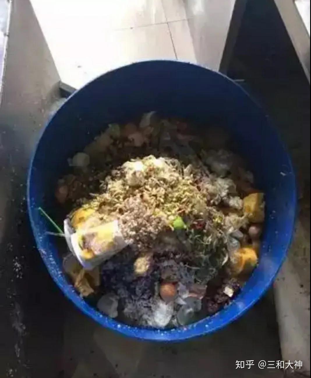 第19章泔水取食