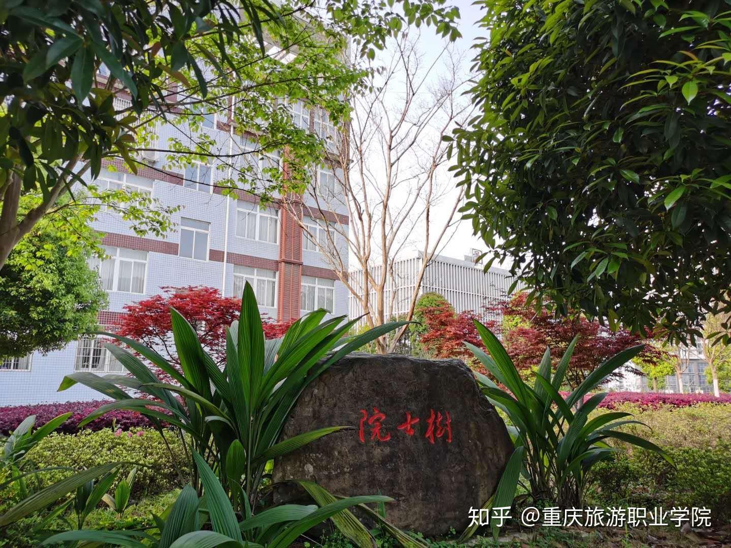 重庆旅游职业学院校门图片