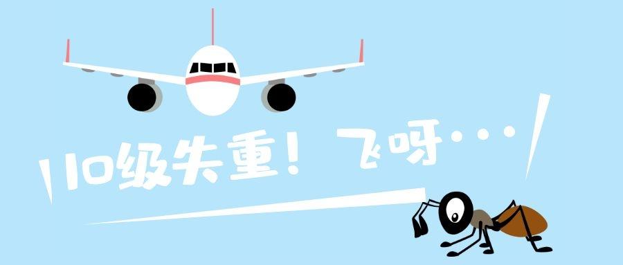 纸飞机滑翔之王 v2-b1da923254a41b67e6beaf0037a948f7_1440w.jpg?source=172ae18b