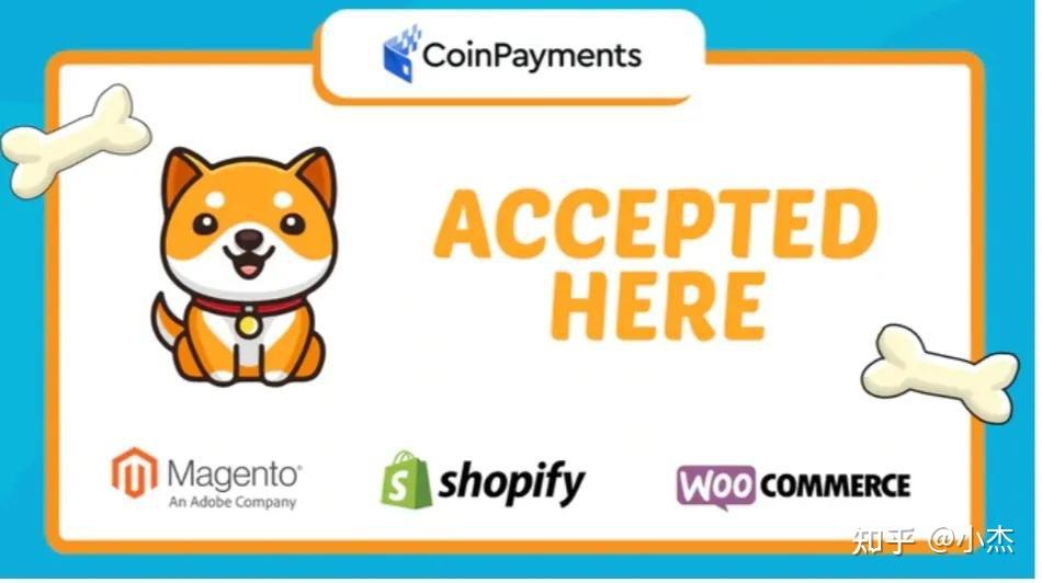 宝贝狗babydoge会是下一个创富神话吗