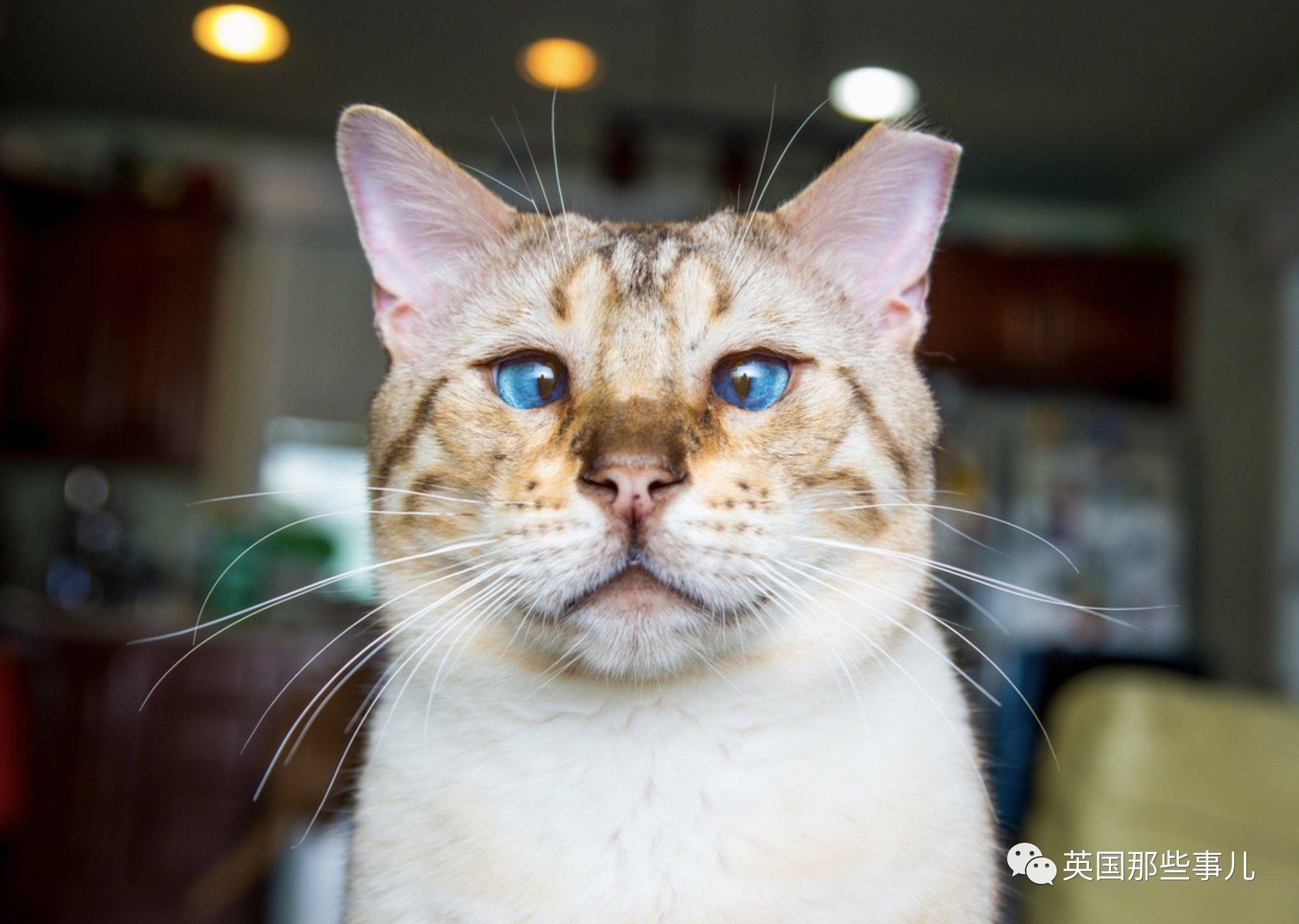 有哪些适合做手机壁纸的黑底色图片? - 知乎