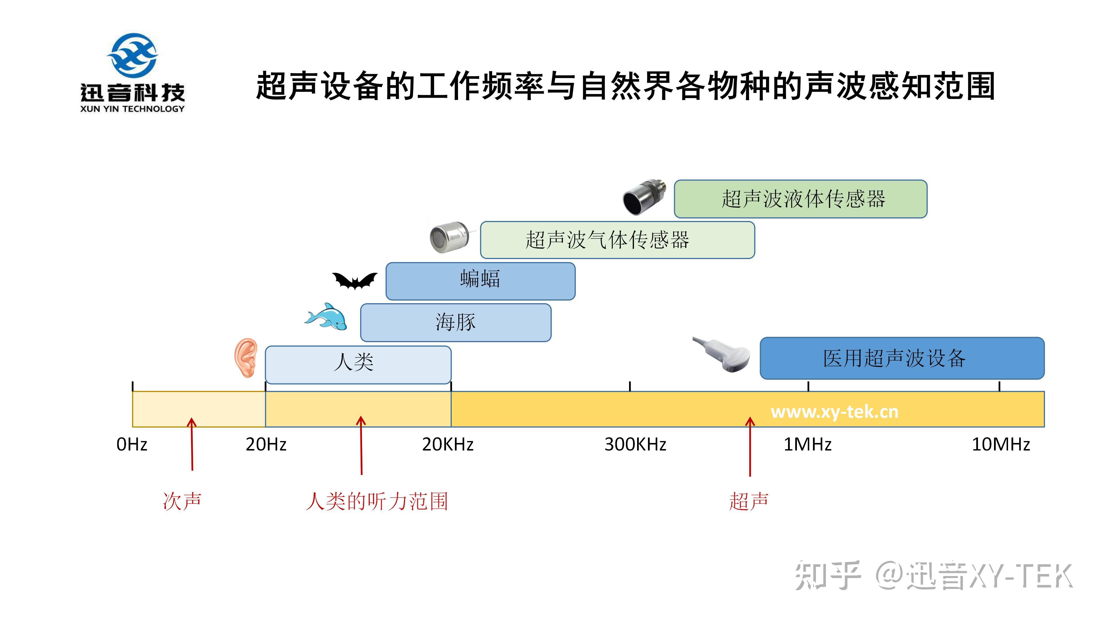 超声原理示意图图片