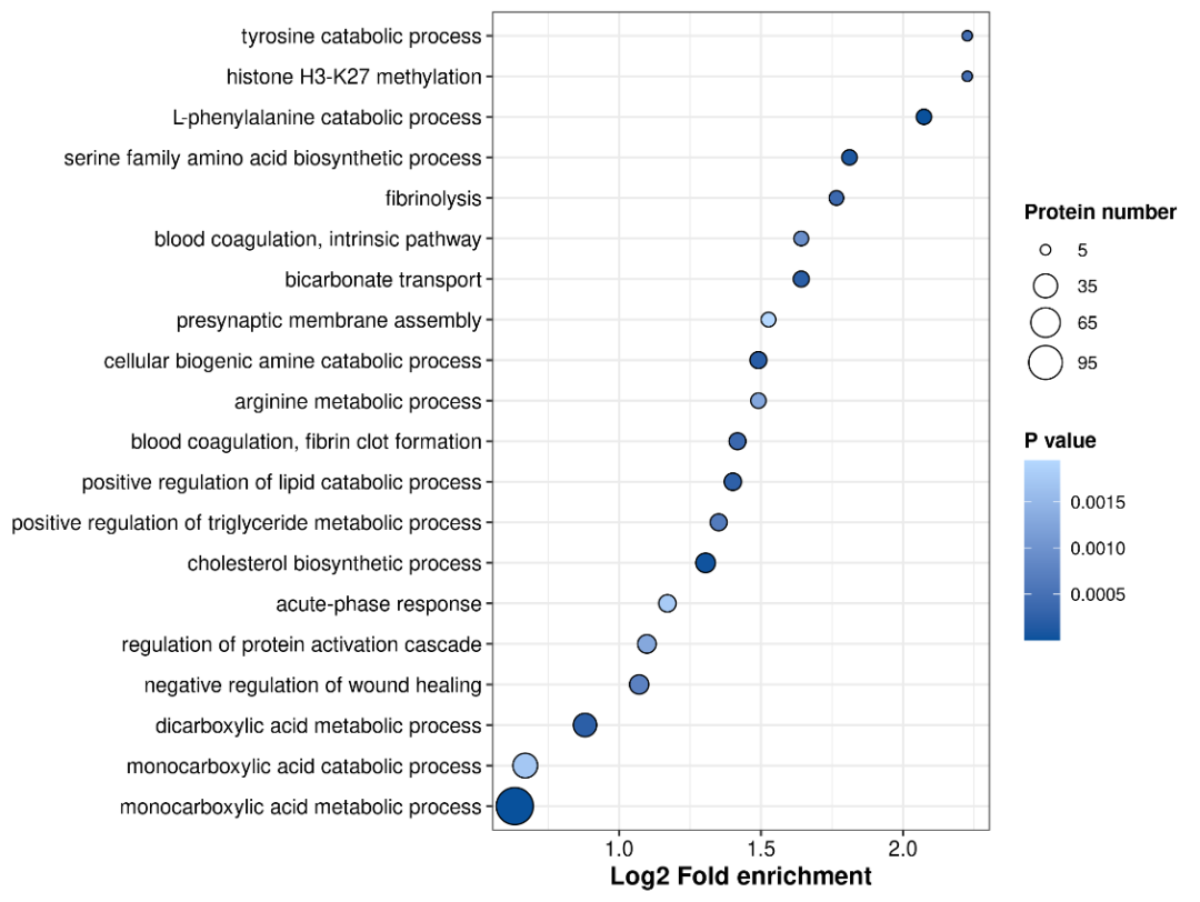 蛋白质（修饰）组学数据全流程分析怎么做？看这篇 - 知乎