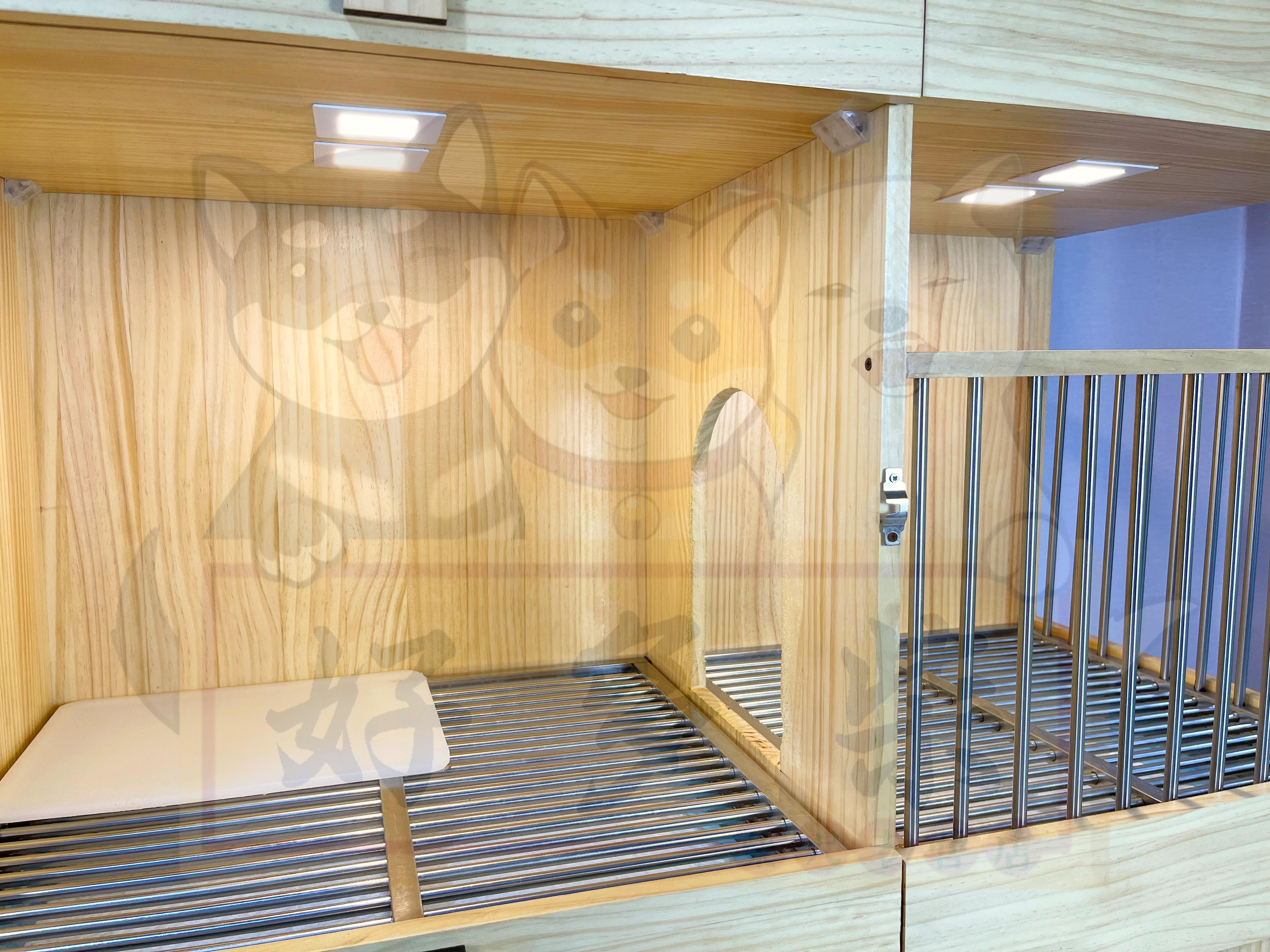 北京有哪些比较好的柴犬犬舍呢? - 知乎