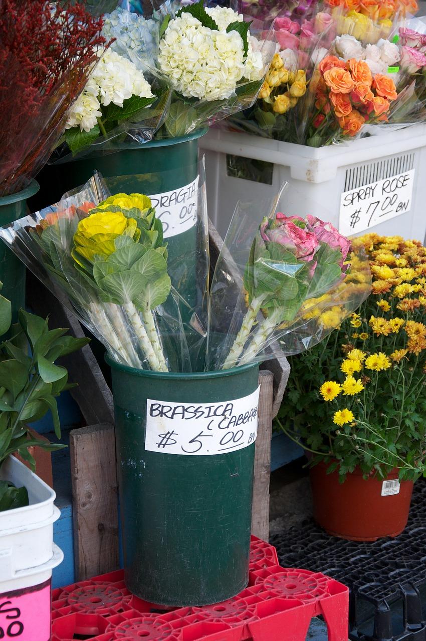 智能家居系统介绍