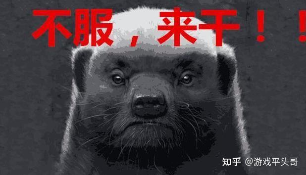 有仇必报,我是你大爷