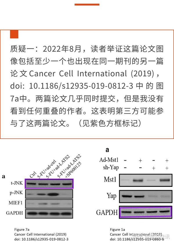 期刊主编不再信任！首都医科大学宣武医院的论文因图片重复被撤回- 知乎