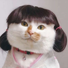 猫不肥就不乖