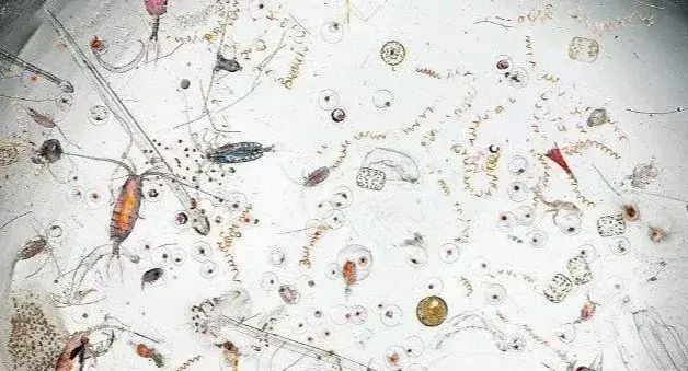 自来水不太干净 你忍一下 什么 忍不了 那就安装个净水器 - 知乎