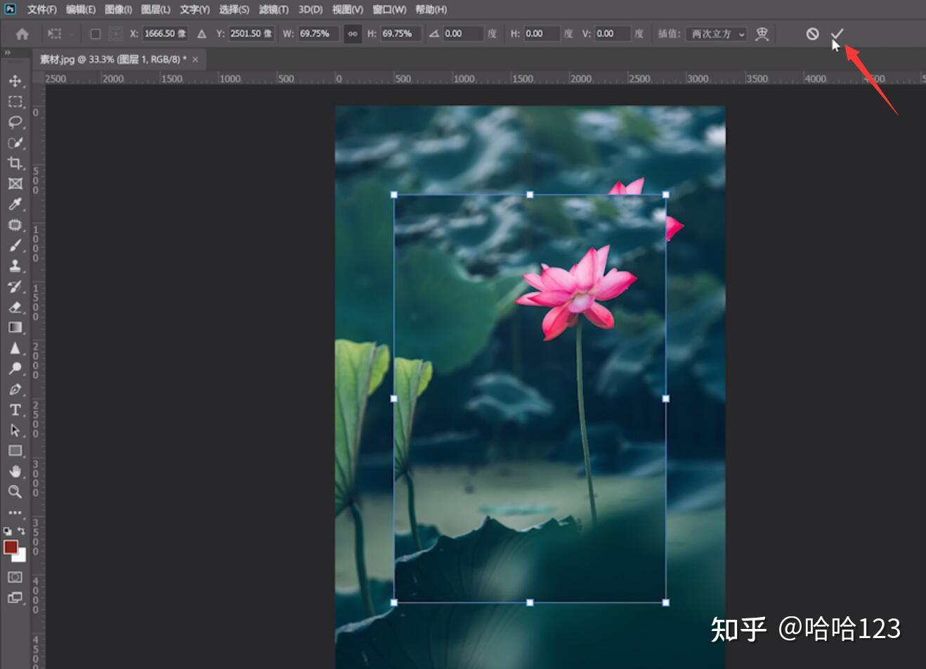 PS如何批量修改图片大小尺寸-Adobe Photoshop批量调整图片大小尺寸的方法教程 - 极光下载站