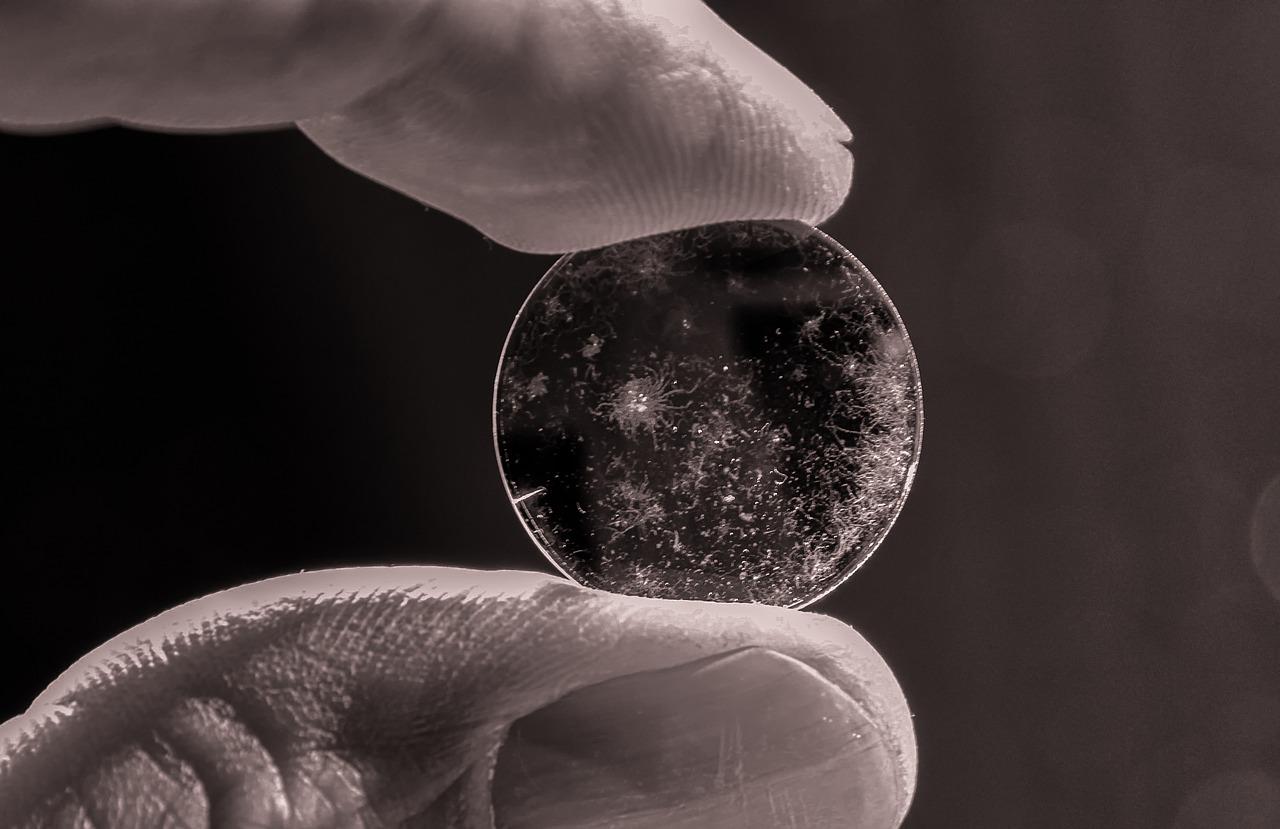 2. 白蚁防治技巧