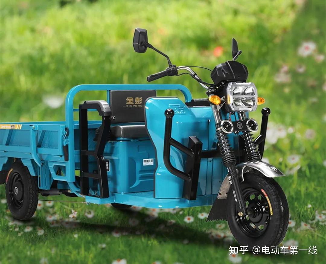 金彭、台铃推出的休闲三轮车，时尚大气，电池可用5年_全球电动车网 - MdEditor