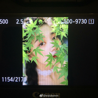 Zhihu profile picture for @richhhh