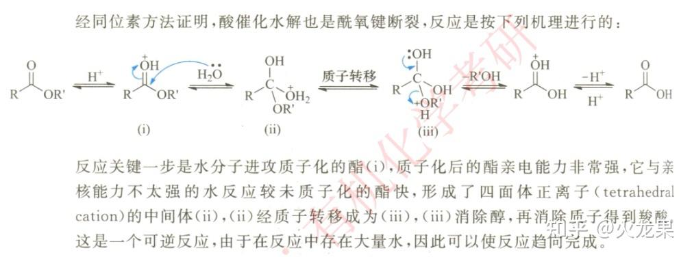 肽键水解图片