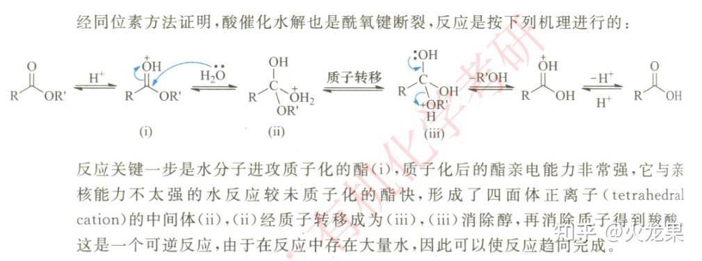 可否给出此物质酸性条件下水解的方程式