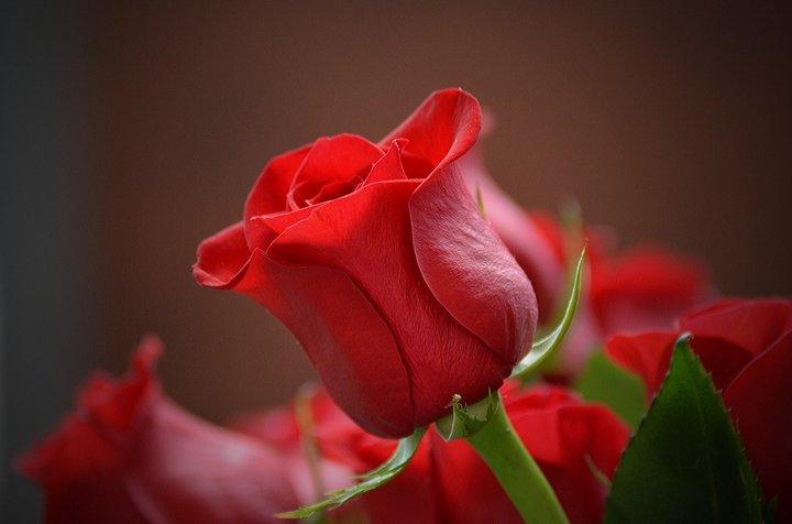 v2-b270f69b7d6c4117de78ad9b8ee41a2b_1440w.jpg?source=172ae18b