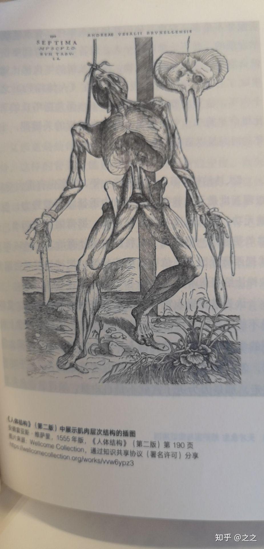 天才永生维萨里与实证解剖医学大神01