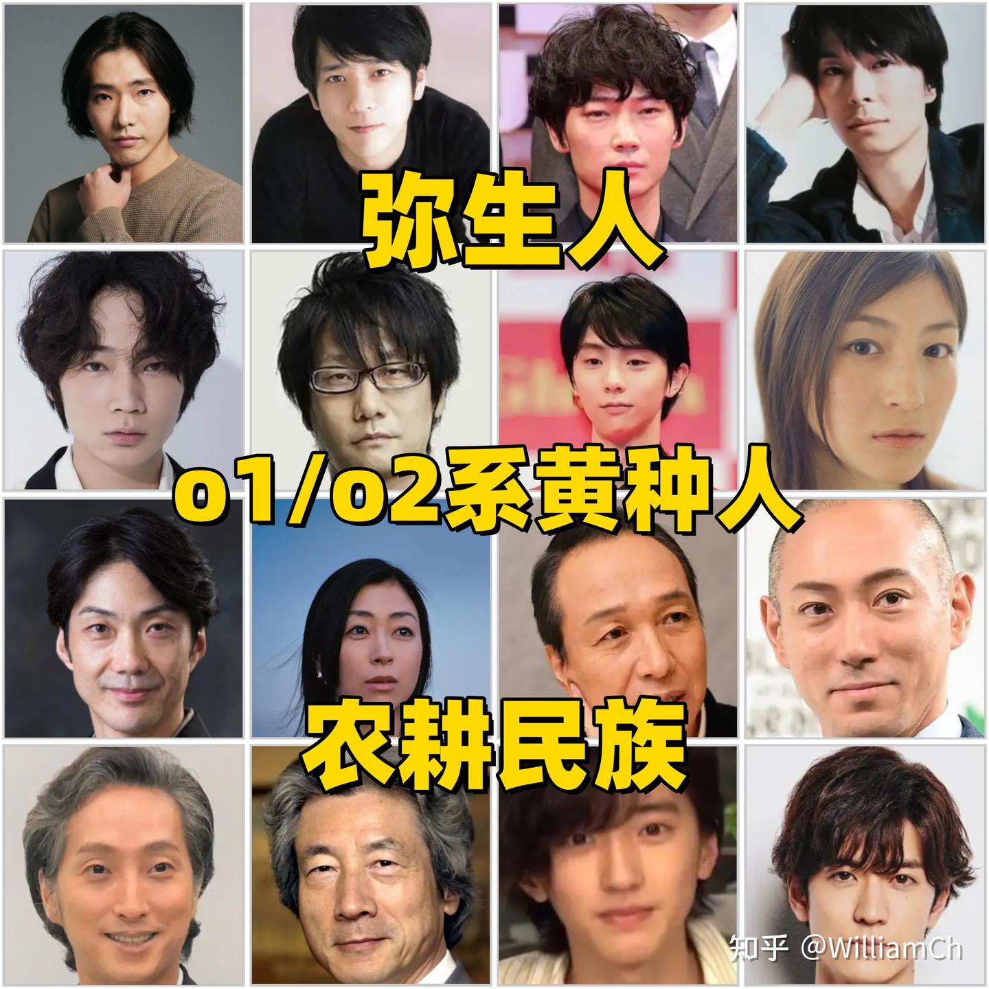 绳文人VS弥生人 - 知乎