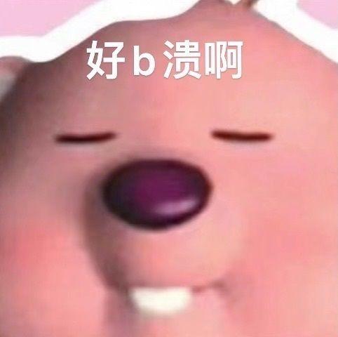 这个粉色的熊叫什么啊,还有没有其他类型的表情包?