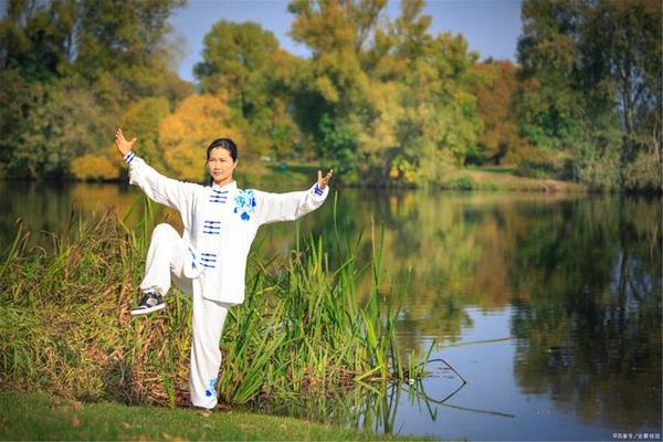 武术太极系列|陈式太极枪与太极拳 - 知乎