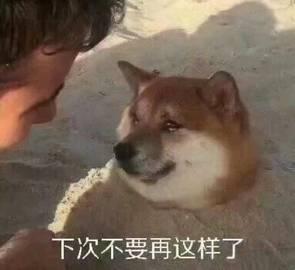 荣耀战力最低的省市
