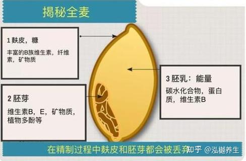 全谷物应该怎么吃怎么选？全谷食品与精细食品的区别? - 知乎
