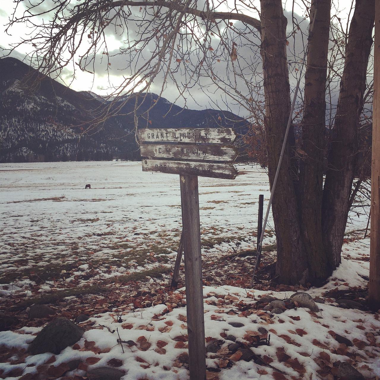 威尔夏大道怎么样