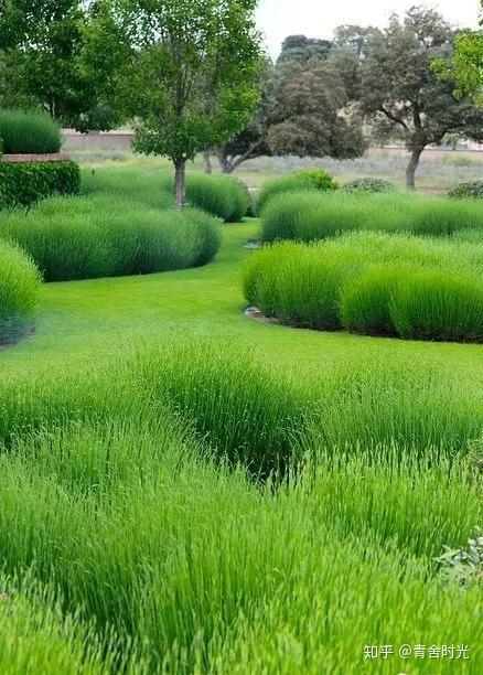庭院花园植物配置6大秘诀造出一座专属于自己个性的美丽花园