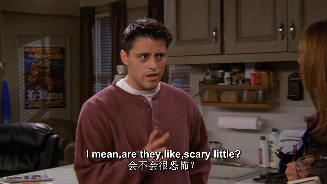 老友记第三季第十三集