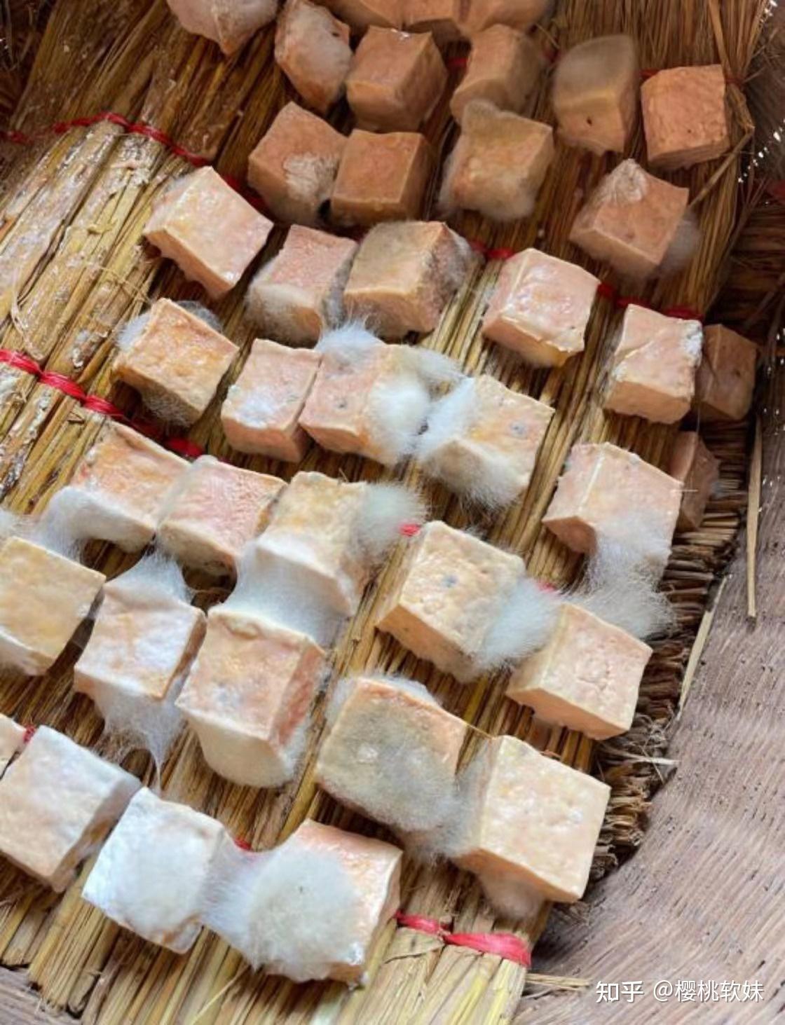 豆腐乳发酵过程图片