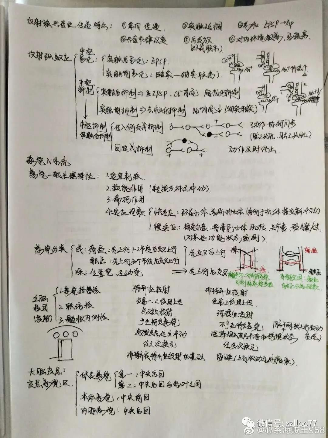 生理:杨鹏杰老师的课,利用画图生动形象,便于理解记忆.