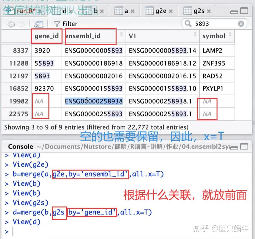 【生信技能树】生信人应该这样学R语言【学习笔记】 - 知乎